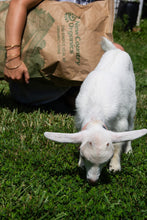 Load image into Gallery viewer, New Coumtry Organics Goat Feed - 40#