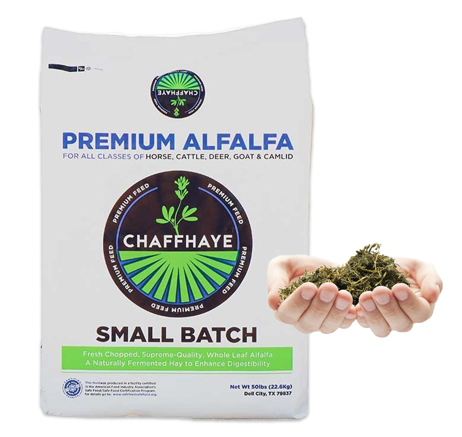 Chaffhaye  Premium Fermented Non-GMO Alfalfa:  50# bag,  WV Sales Tax included