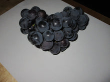 Load image into Gallery viewer, Concord Grapes bunch
